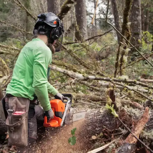 Corrente X-CUT para Motosserra Husqvarna 18